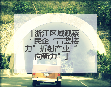 浙江区域观察：民企“青蓝接力”折射产业“向新力”
