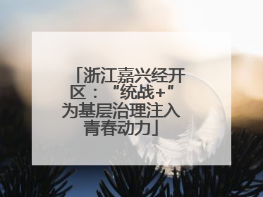 浙江嘉兴经开区：“统战+”为基层治理注入青春动力