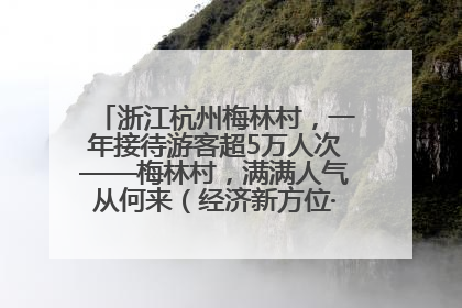 浙江杭州梅林村，一年接待游客超5万人次——梅林村，满满人气从何来（经济新方位·农村消费观察）