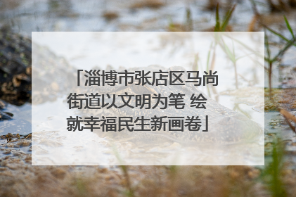 淄博市张店区马尚街道以文明为笔 绘就幸福民生新画卷
