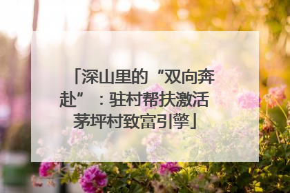深山里的“双向奔赴”：驻村帮扶激活茅坪村致富引擎