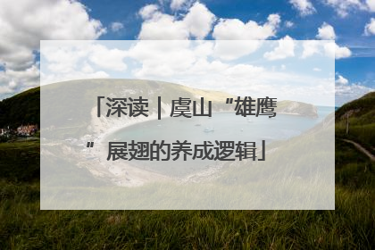深读｜虞山“雄鹰”展翅的养成逻辑