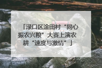渌口区淦田村“同心振农兴粮”大赛上演农耕“速度与激情”