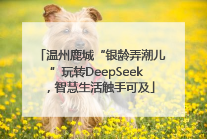 温州鹿城“银龄弄潮儿”玩转DeepSeek，智慧生活触手可及