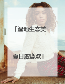 湿地生态美 夏日麋鹿欢