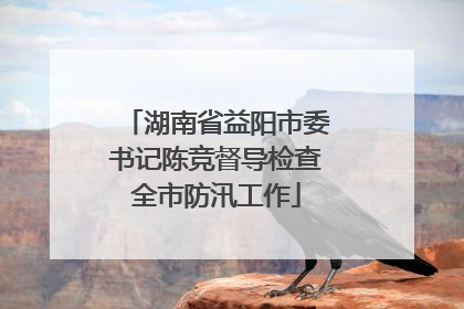 湖南省益阳市委书记陈竞督导检查全市防汛工作