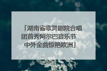 湖南省歌舞剧院合唱团首秀阿尔巴音乐节 中外金曲惊艳欧洲