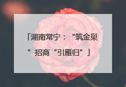 湖南常宁：“筑金巢”招商“引雁归”