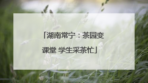 湖南常宁：茶园变课堂 学生采茶忙
