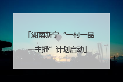 湖南新宁“一村一品一主播”计划启动