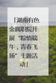 湖南有色金属职院开展“粽情端午，青春飞扬”主题活动