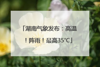 湖南气象发布：高温！阵雨！最高35℃