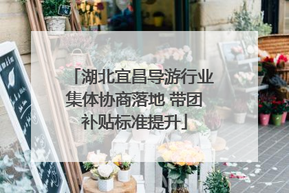 湖北宜昌导游行业集体协商落地 带团补贴标准提升