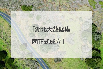 湖北大数据集团正式成立