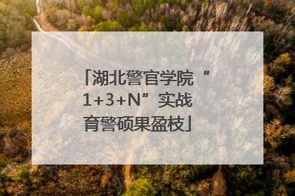 湖北警官学院“1+3+N”实战育警硕果盈枝