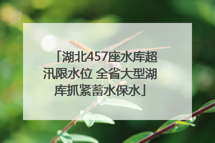 湖北457座水库超汛限水位 全省大型湖库抓紧蓄水保水