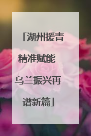 湖州援青精准赋能 乌兰振兴再谱新篇