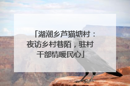 湖潮乡芦猫塘村：夜访乡村巷陌，驻村干部情暖民心