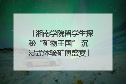 湘南学院留学生探秘“矿物王国” 沉浸式体验矿博盛宴