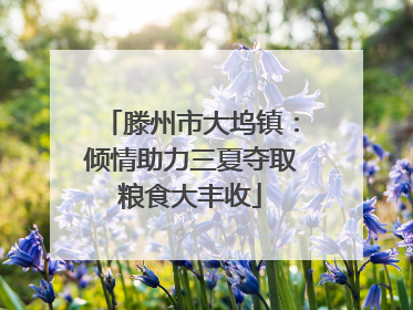 滕州市大坞镇:倾情助力三夏夺取粮食大丰收