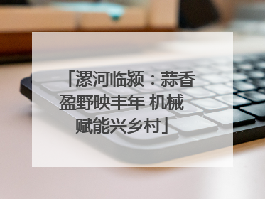 漯河临颍：蒜香盈野映丰年 机械赋能兴乡村