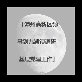 漳州高新区领导到九湖镇调研基层党建工作