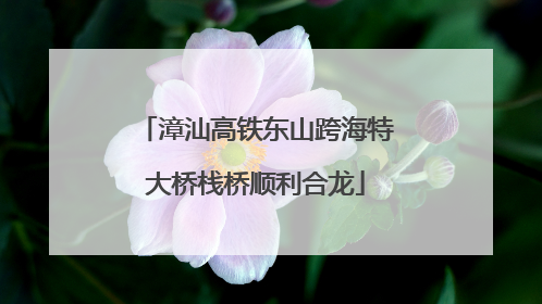 漳汕高铁东山跨海特大桥栈桥顺利合龙