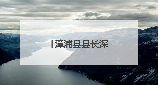 漳浦县县长深入一线调研荔枝产销工作