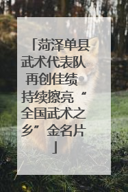 菏泽单县武术代表队再创佳绩 持续擦亮“全国武术之乡”金名片
