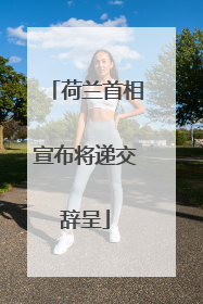 荷兰首相宣布将递交辞呈