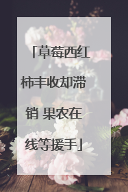 草莓西红柿丰收却滞销 果农在线等援手