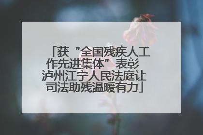获“全国残疾人工作先进集体”表彰 泸州江宁人民法庭让司法助残温暖有力