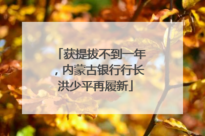 获提拔不到一年，内蒙古银行行长洪少平再履新