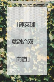 莼菜铺就融合双向道