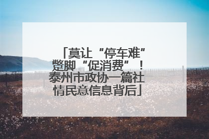 莫让“停车难”蹩脚“促消费”！泰州市政协一篇社情民意信息背后