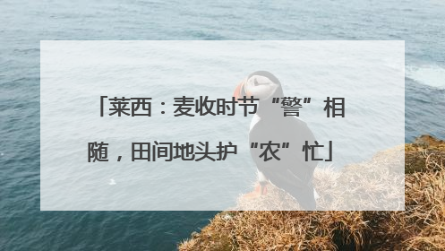 莱西：麦收时节“警”相随，田间地头护“农”忙