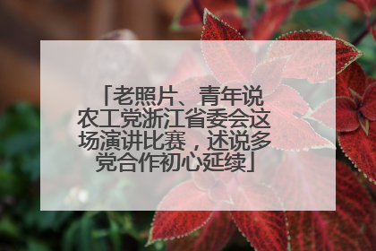 老照片、青年说 农工党浙江省委会这场演讲比赛，述说多党合作初心延续