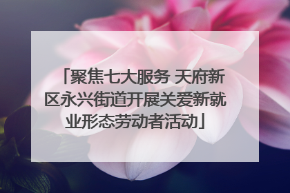 聚焦七大服务 天府新区永兴街道开展关爱新就业形态劳动者活动