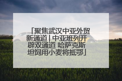 聚焦武汉中亚外贸新通道│中亚班列开辟双通道 哈萨克斯坦饲用小麦将抵鄂