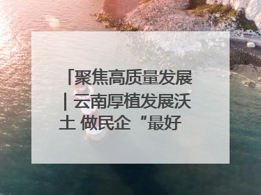 聚焦高质量发展｜云南厚植发展沃土 做民企“最好合伙人”