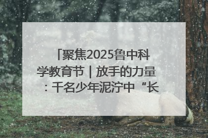 聚焦2025鲁中科学教育节｜放手的力量：千名少年泥泞中“长出勇敢翅膀”