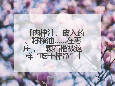 肉榨汁、皮入药、籽榨油……在枣庄，一颗石榴被这样“吃干榨净”