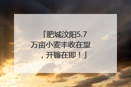 肥城汶阳5.7万亩小麦丰收在望，开镰在即！