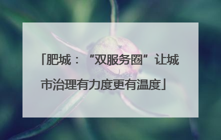 肥城：“双服务圈”让城市治理有力度更有温度