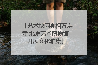艺术快闪亮相万寿寺 北京艺术博物馆开展文化雅集