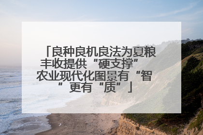 良种良机良法为夏粮丰收提供“硬支撑” 农业现代化图景有“智”更有“质”
