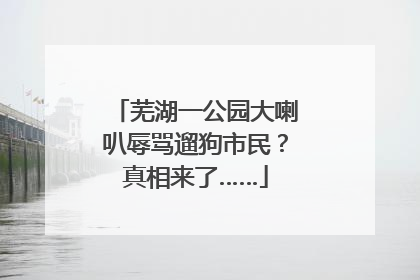 芜湖一公园大喇叭辱骂遛狗市民？真相来了……