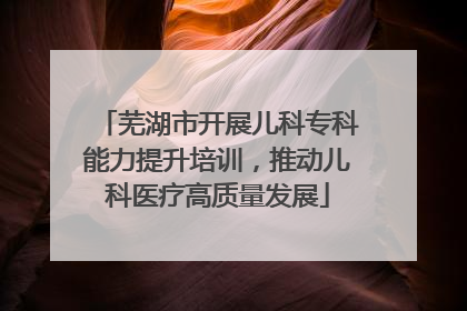 芜湖市开展儿科专科能力提升培训，推动儿科医疗高质量发展