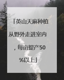 英山天麻种植从野外走进室内，每亩提产50%以上