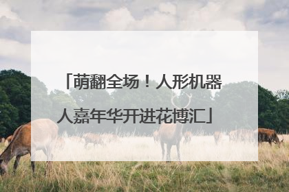 萌翻全场！人形机器人嘉年华开进花博汇